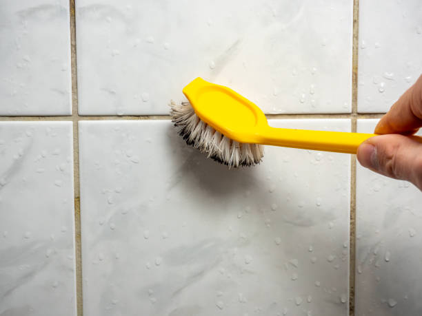 Best Fast Mold Removal  in Glandorf, OH
