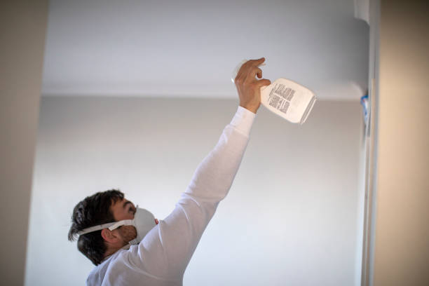 Best Black Mold Removal  in Glandorf, OH