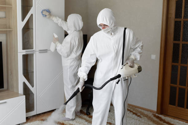 Best Toxic Mold Removal  in Glandorf, OH