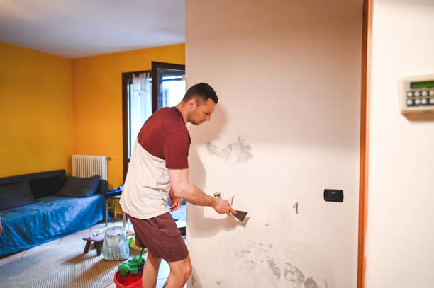 Best Fast Mold Removal  in Glandorf, OH