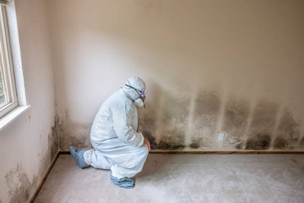 Best Crawl Space Mold Removal  in Glandorf, OH